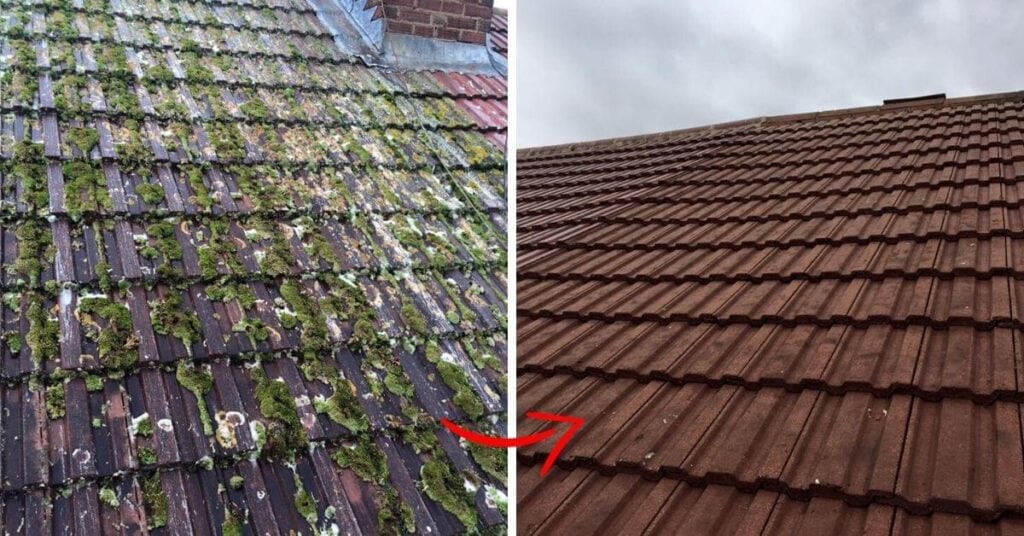Moss on a roof before and after exterior cleaning.