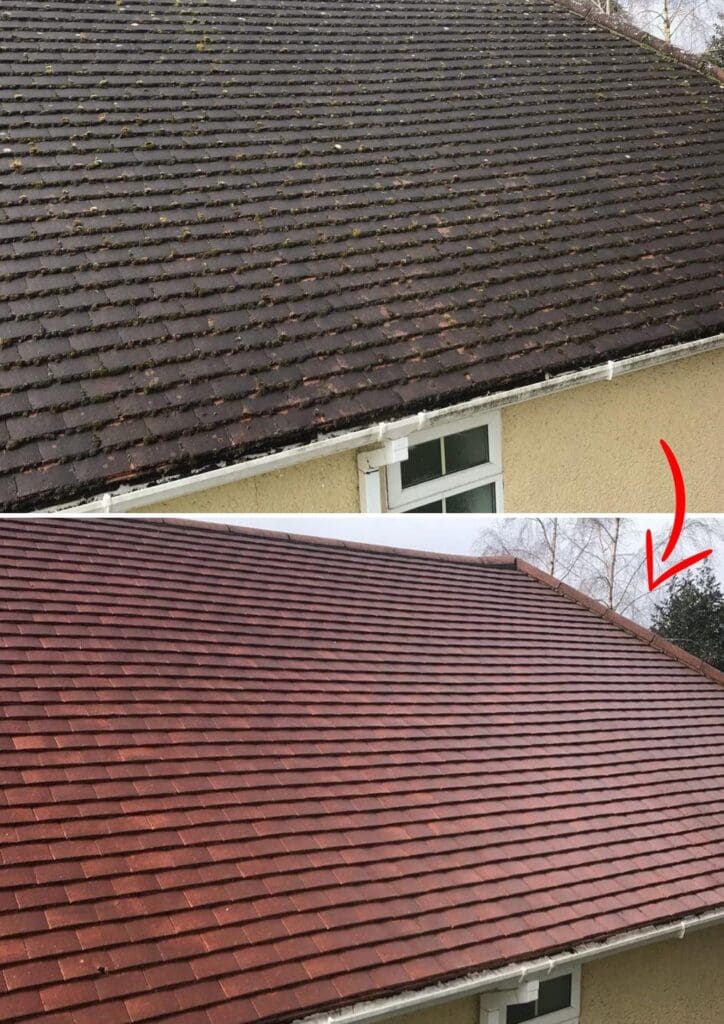 Roof cleaning London