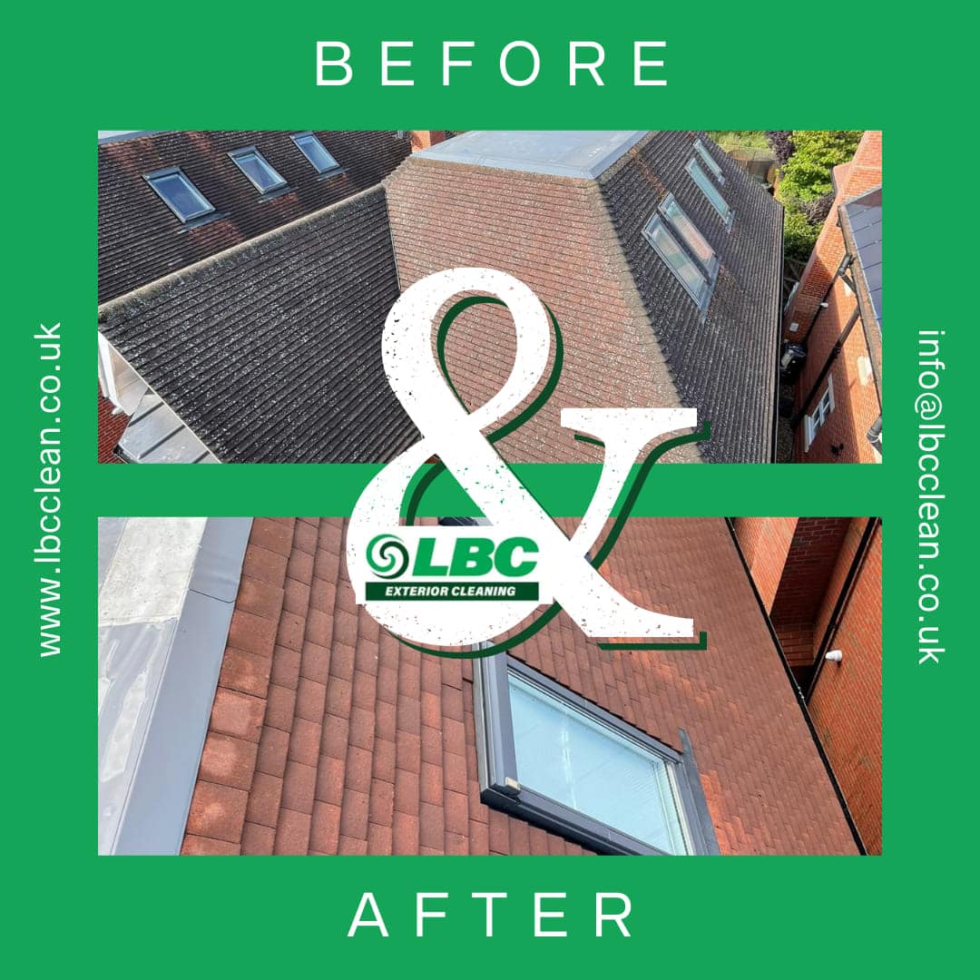 How to Find the Best Roof Cleaner, Roof Cleaner