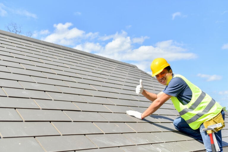 Is Roof Cleaning Necessary, roof cleaning