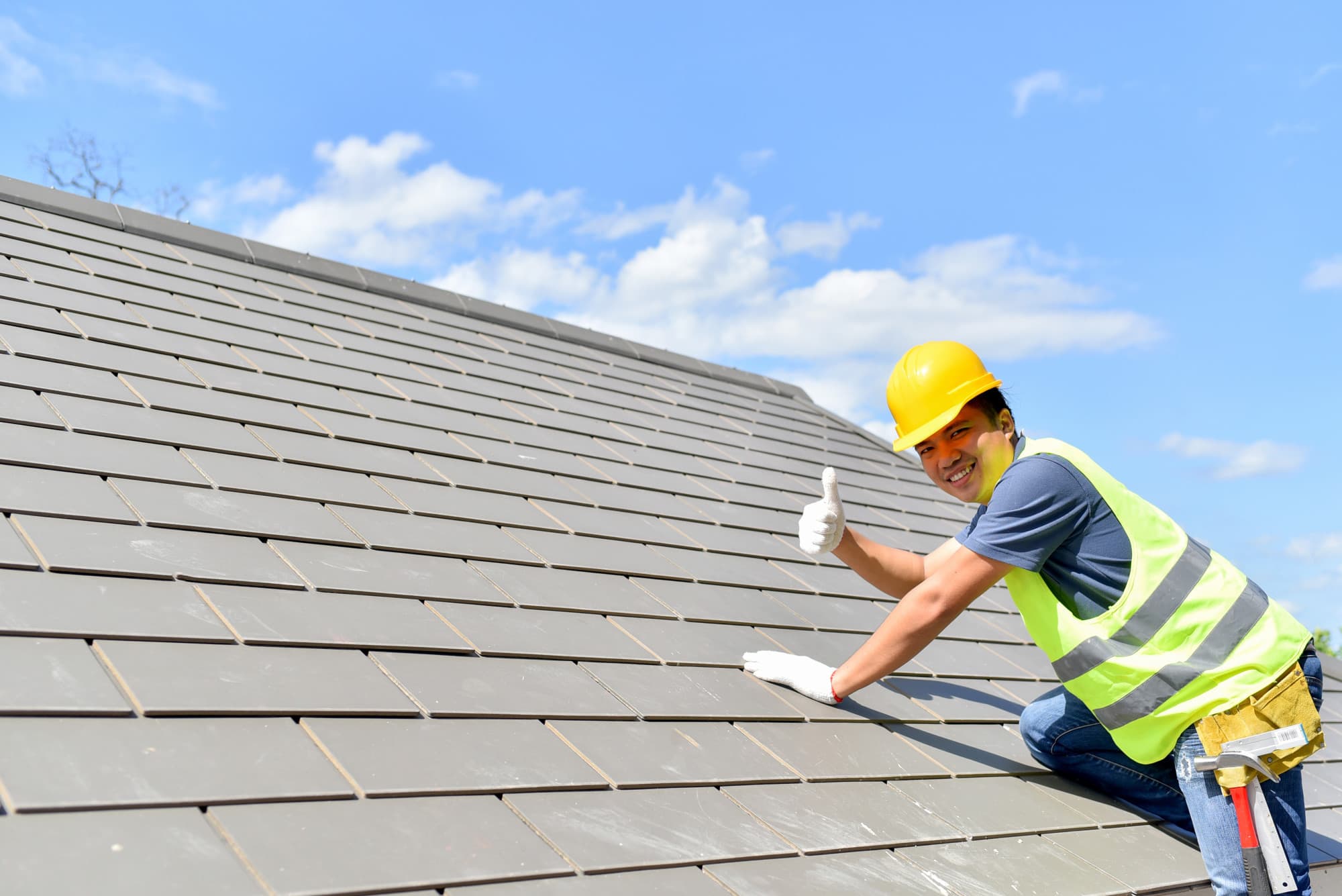 Is Roof Cleaning Necessary, roof cleaning