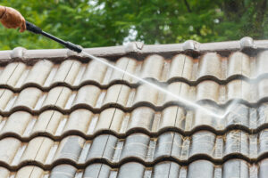 How Can I Find the Best Roof Cleaner Near Me? Your Brief Guide, roof cleaner near me