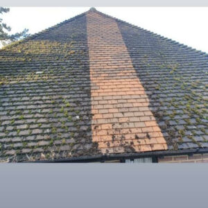 Best Roof Cleaning Company London