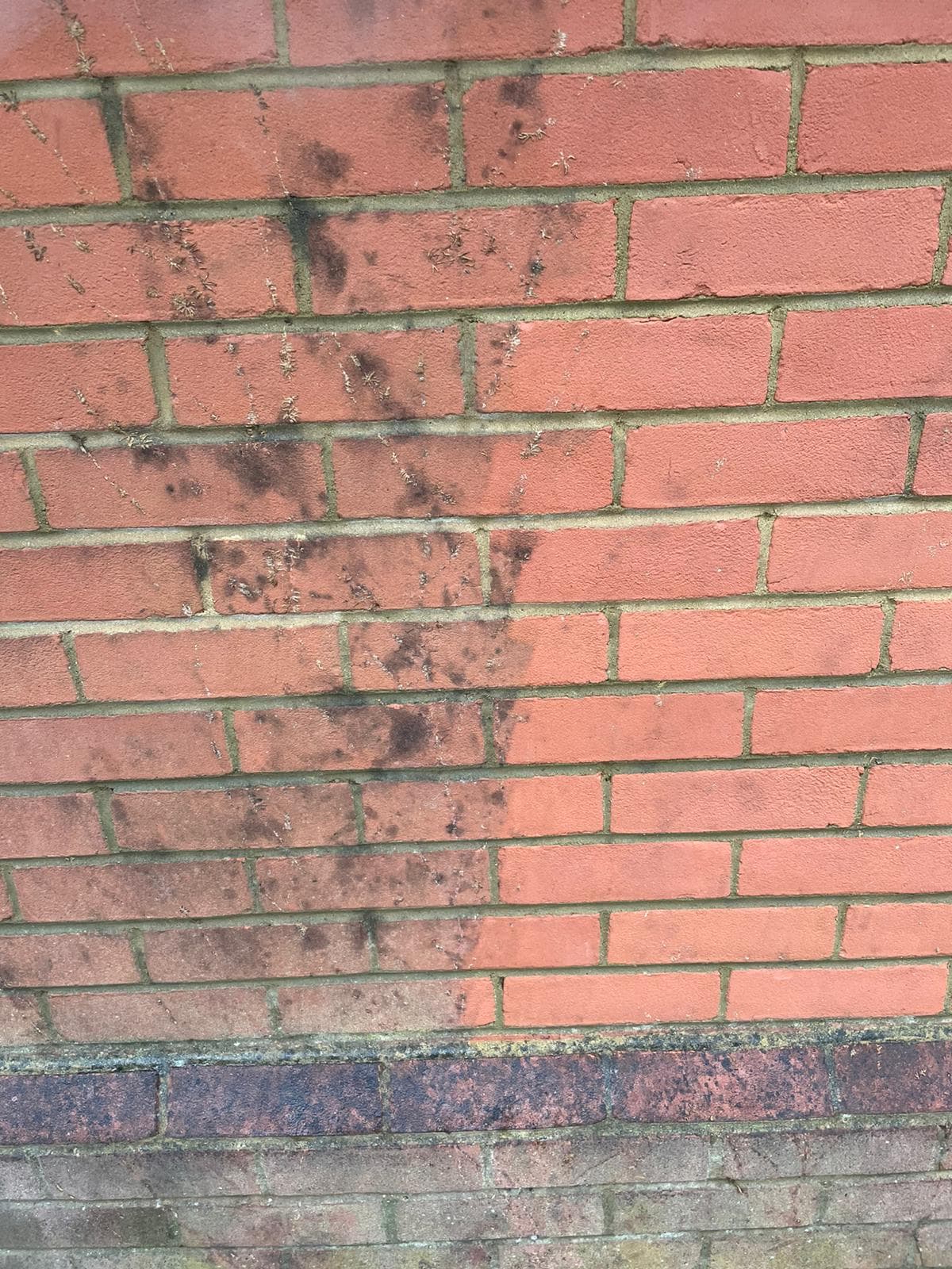 Expert Brick Cleaning London LBC Clean │1 Brick Cleaning Specialist