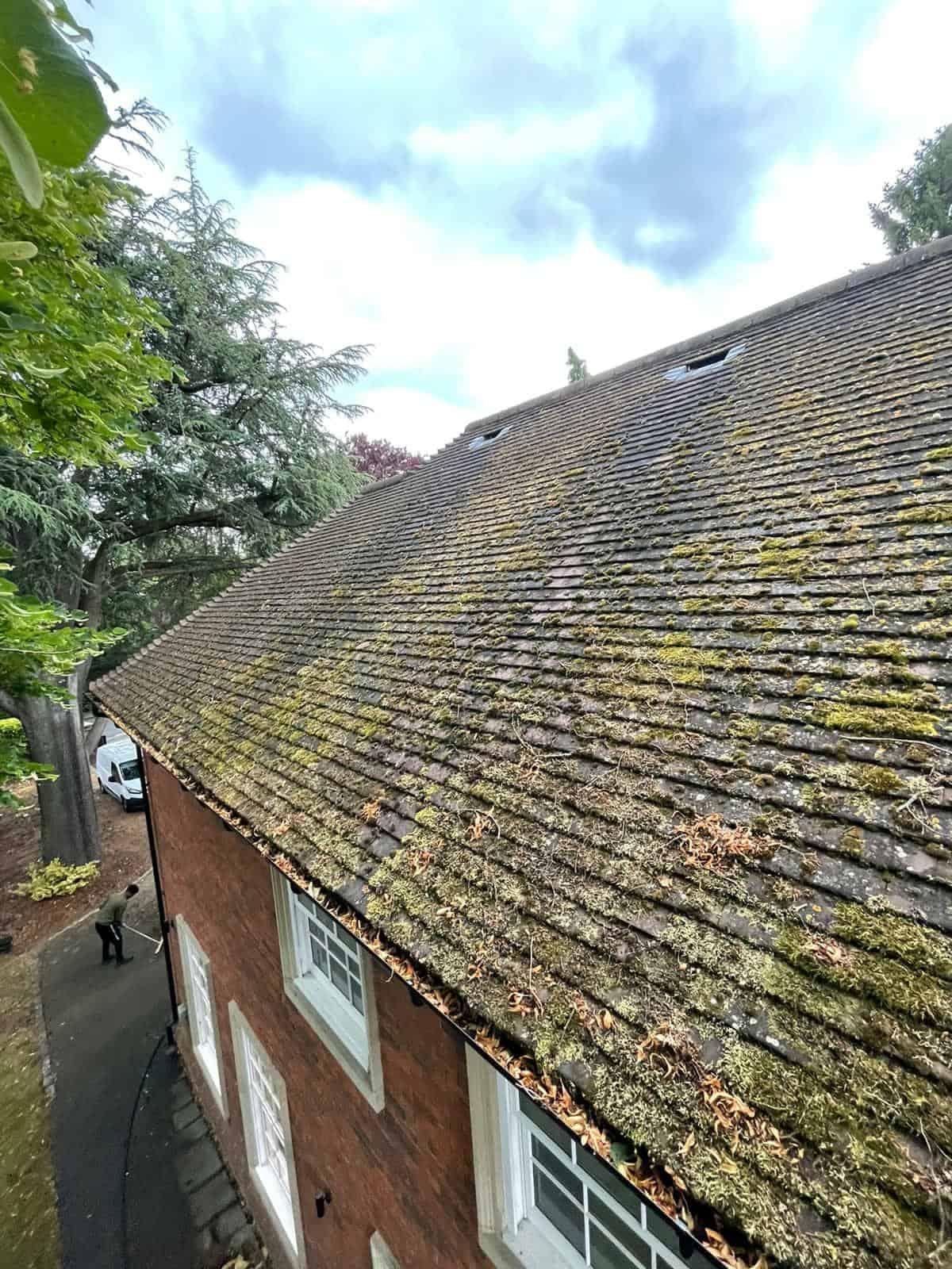 A moss-covered roof in London, Roof Cleaning