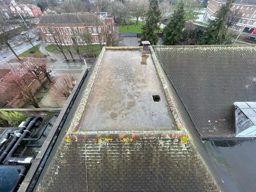 Flat roof cleaning