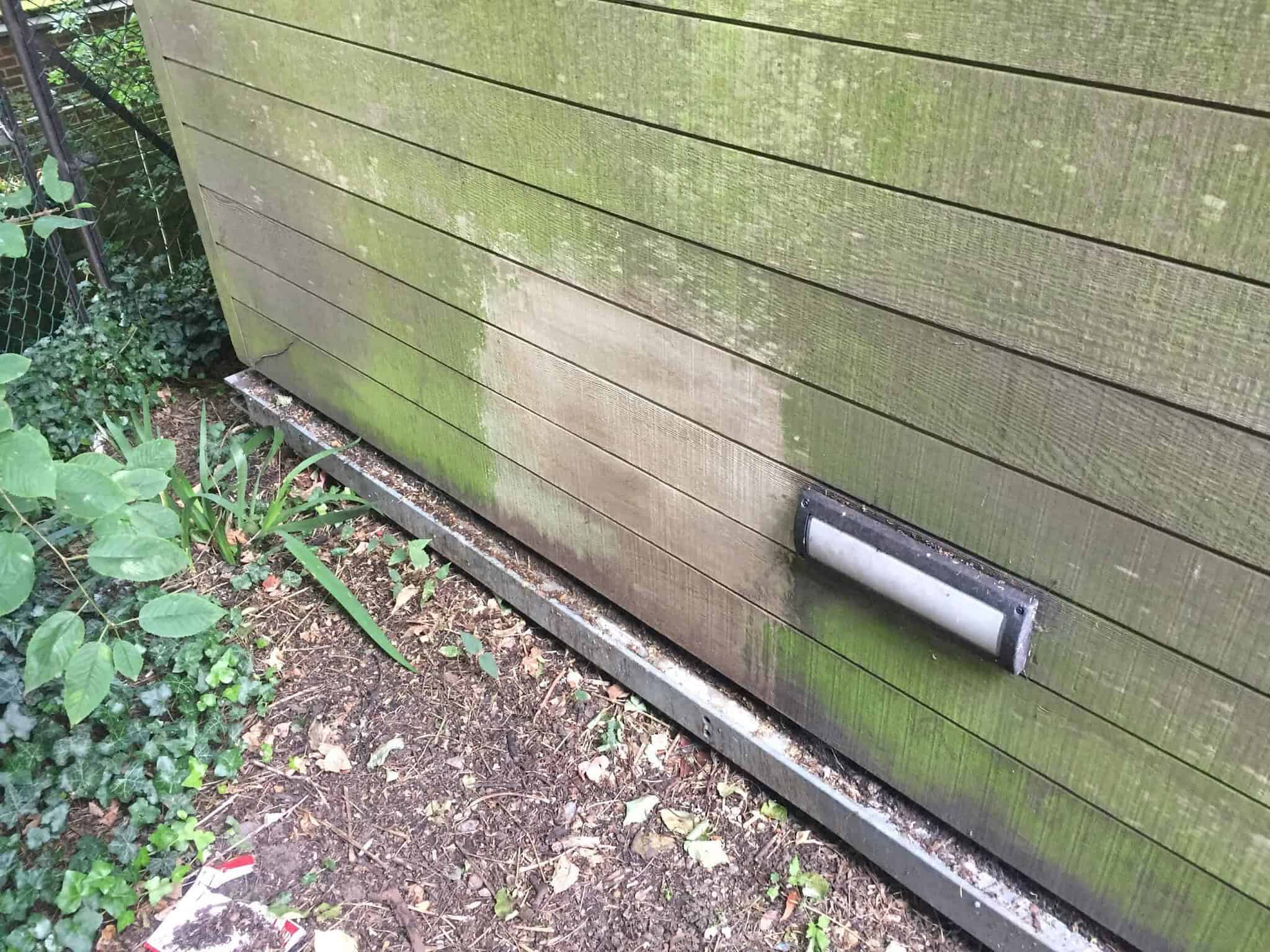 A wooden wall with green moss stains and a cleaner rectangular patch in the middle, showing the original wood color. A metal pipe runs horizontally at the bottom of the wall. On the ground, there is dirt with fallen leaves, and a green plant grows near the base of the wall.