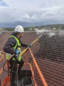 Professional roof cleaning