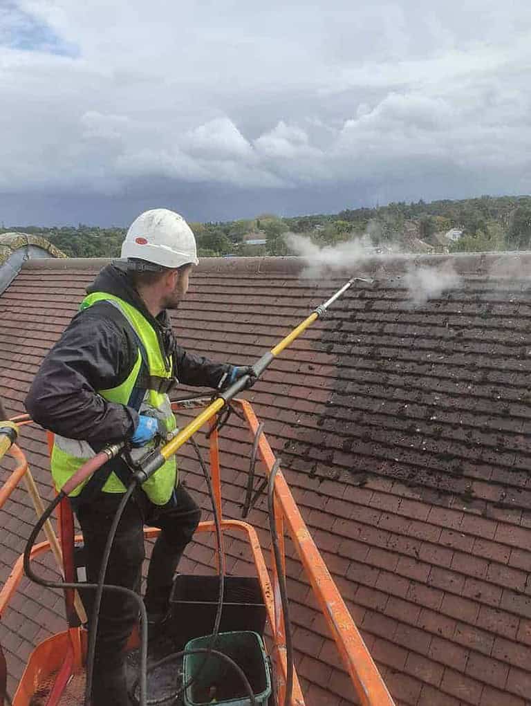 Professional roof cleaning