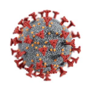 coronavirus