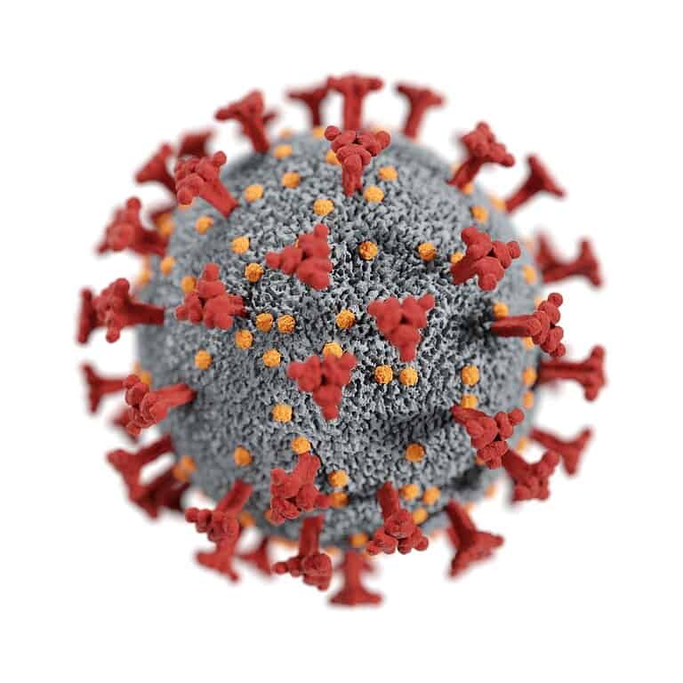 coronavirus